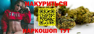 Альфа ПВП Ачхой-Мартан